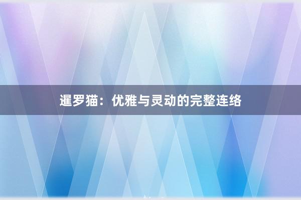 暹罗猫：优雅与灵动的完整连络