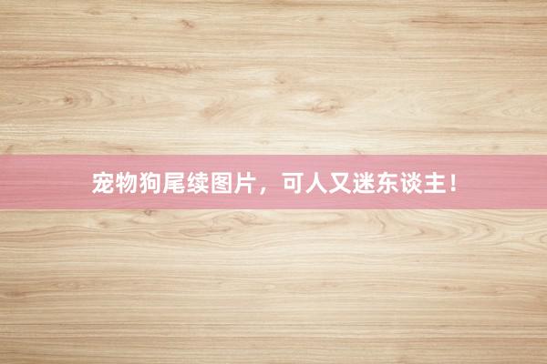 宠物狗尾续图片，可人又迷东谈主！
