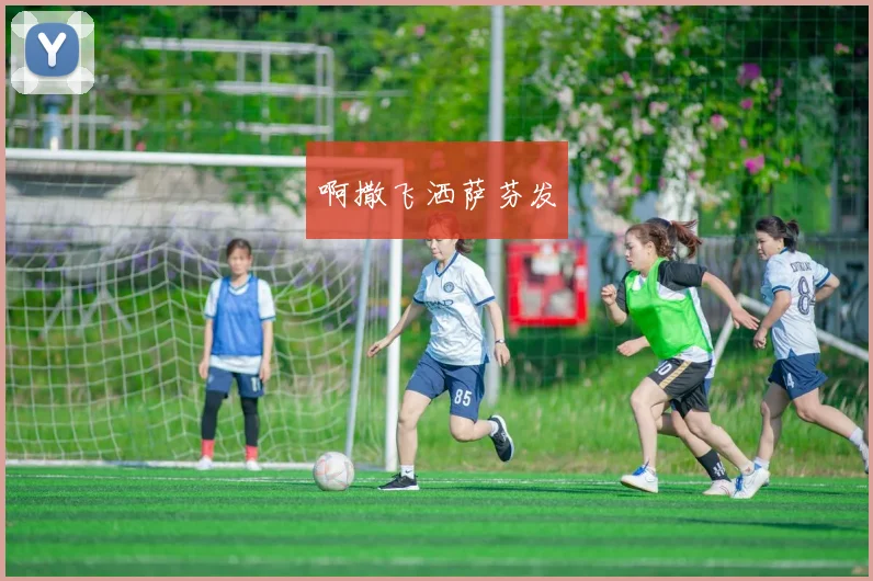 专家点评：透过风云足球直播分析球队战术布局